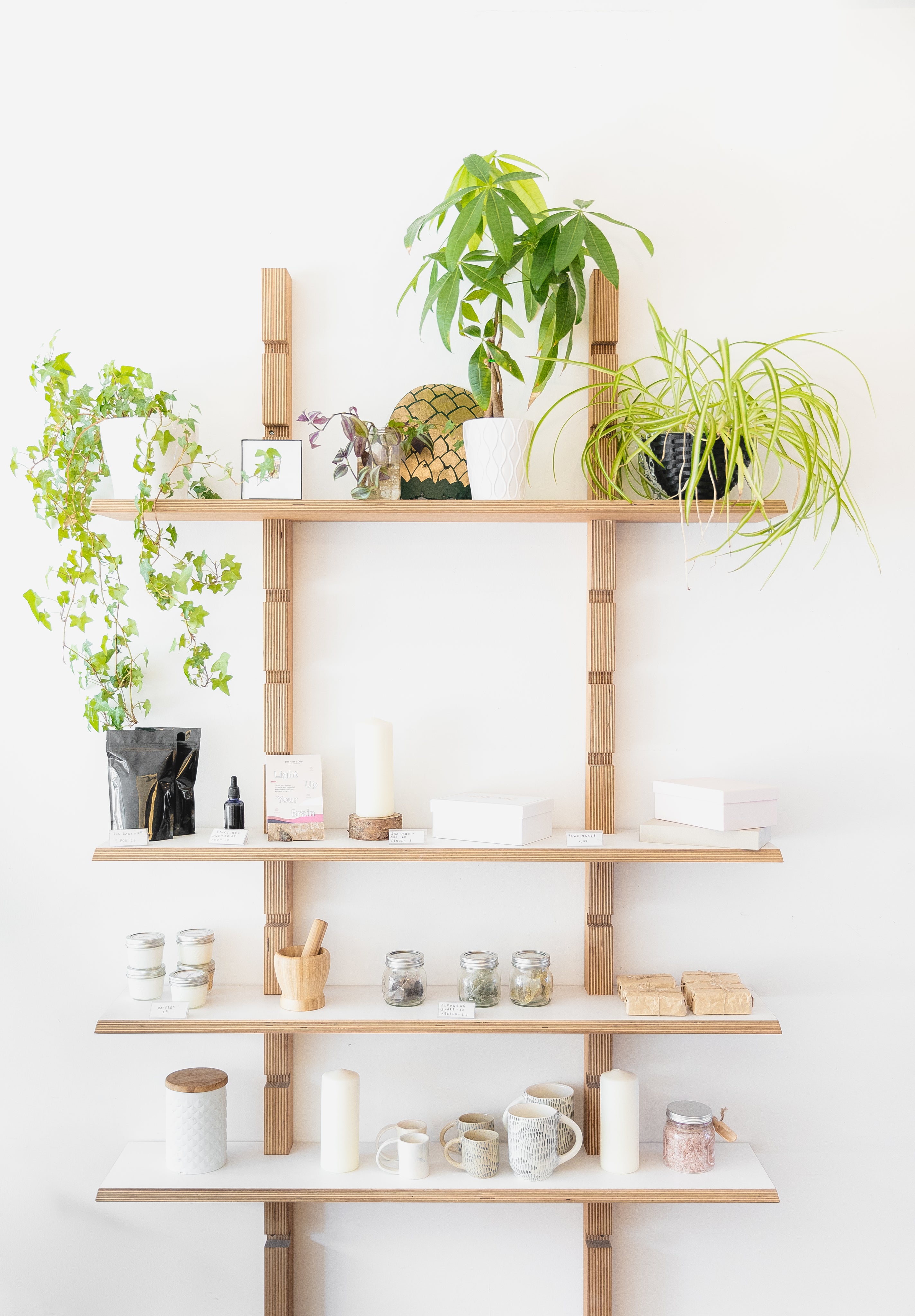 a-selection-of-candles-and-plants-on-wooden-shelves.jpg